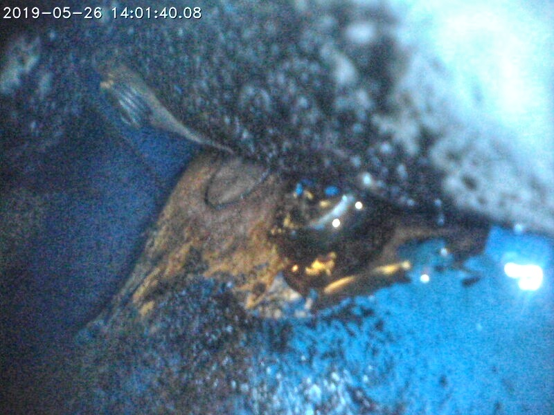 Looks like this was an aux oil port for a different application of this block. One of the aluminum plugs is loose.